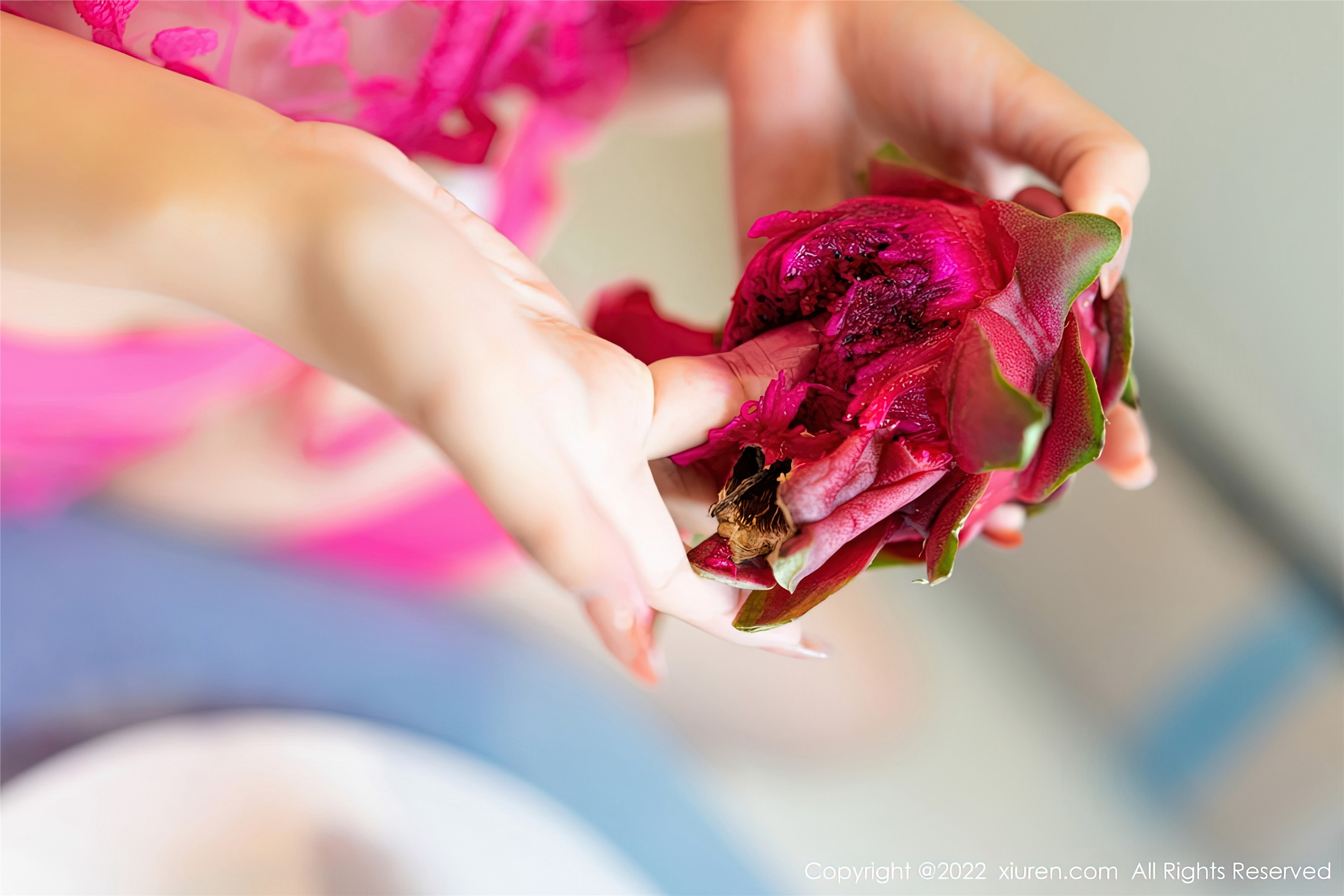 Xiuren秀人网 2022.12.28 NO.6058 张思允Nice